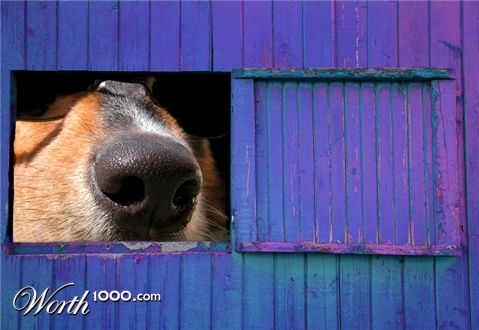 Photography by lilmart