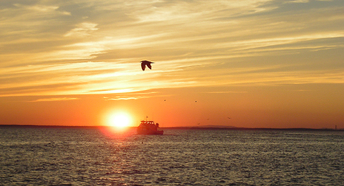 Photography by kate614 for DesignCrowd (Community Contests) | Design #9045264