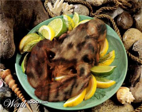 Photoshop Design by EyEars