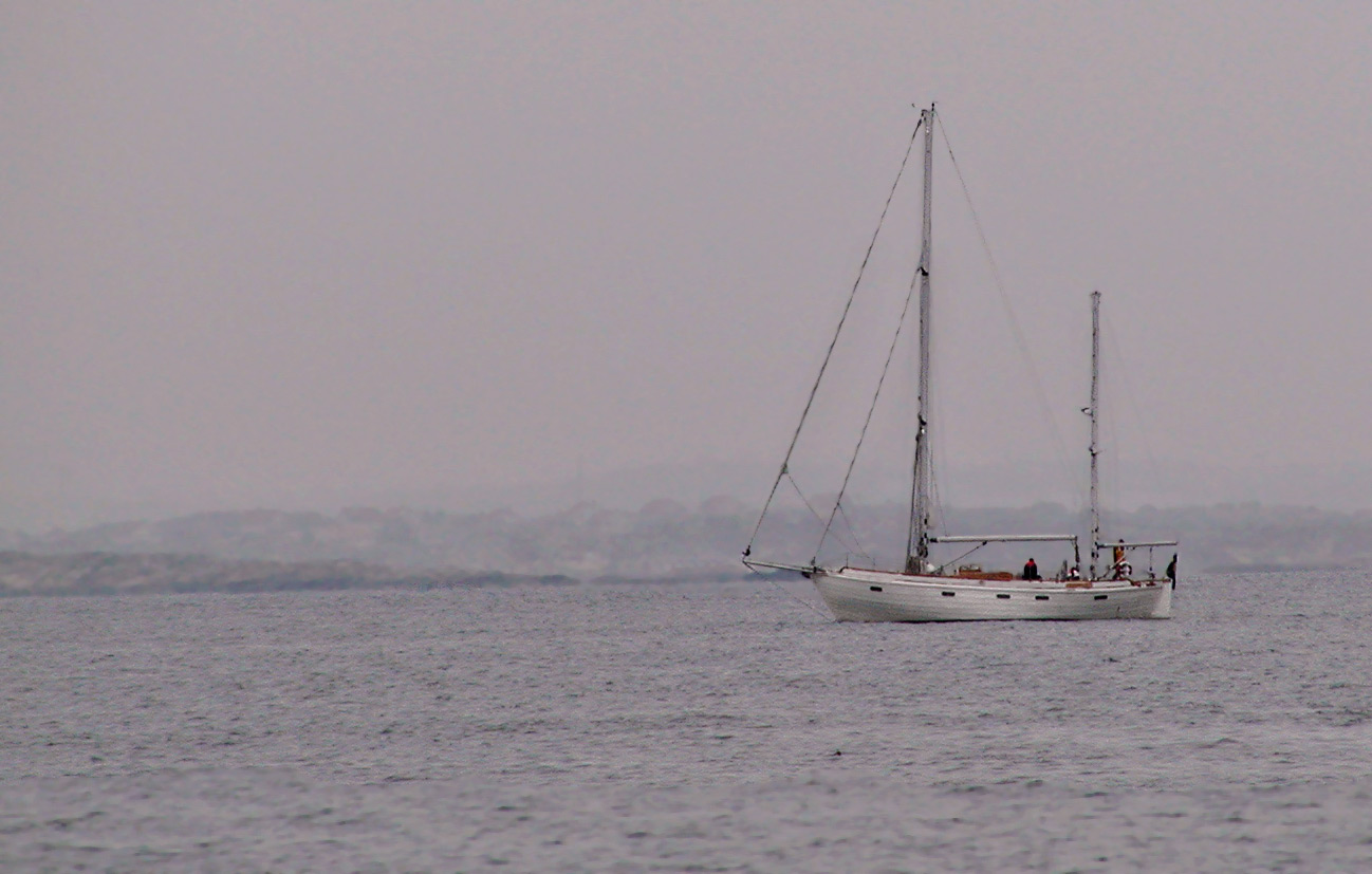 Photographie par cakeladybarb pour DesignCrowd (Community Contests) | Design #9045224