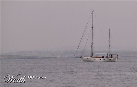 Photography by cakeladybarb