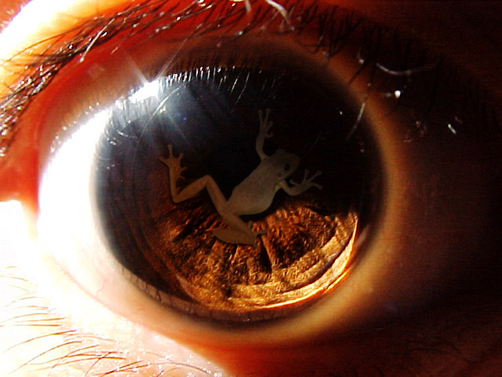 Photoshop Design by whitebread1440 for DesignCrowd (Community Contests) | Design #9055771