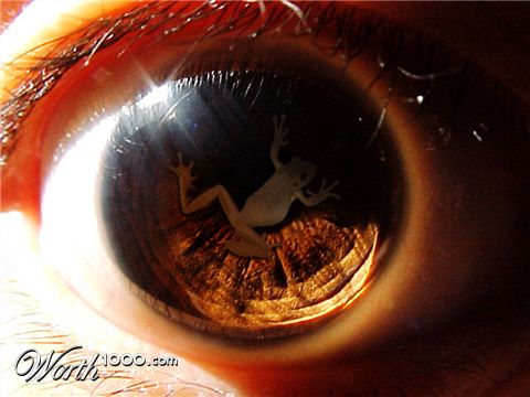 Photoshop Design by whitebread1440