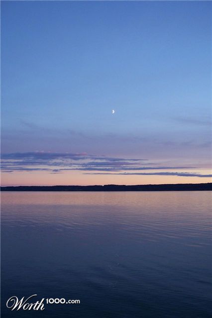 Photography by MissRachel