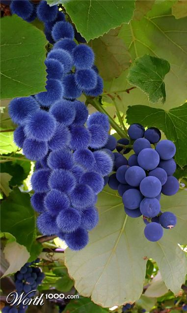 Photoshop Design by hotweaselsoup