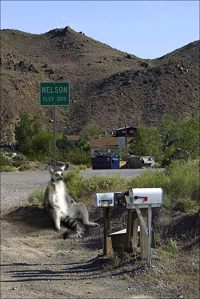 Photographie par MrNelson pour DesignCrowd (Community Contests) | Design #9054991