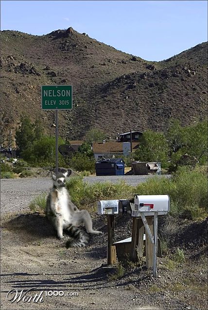 Photography by MrNelson