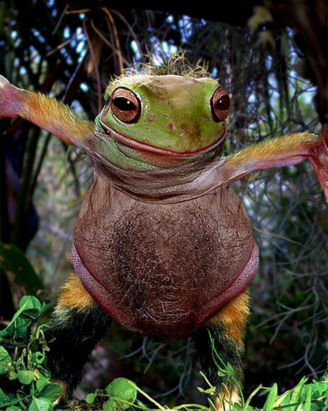 Photoshop Design by ozplasmic for DesignCrowd (Community Contests) | Design #9055708