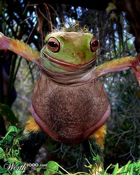 Photoshop Design by ozplasmic