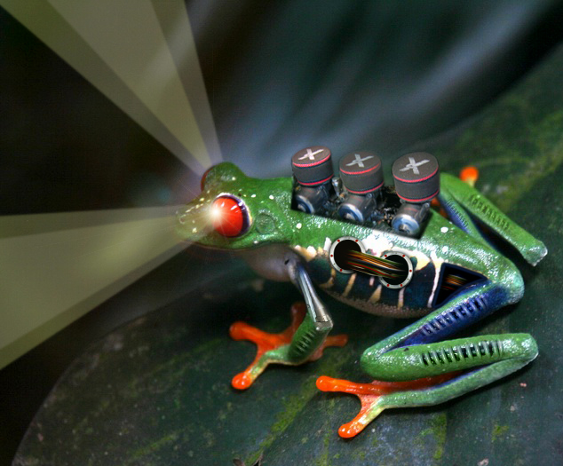 Photoshop Design by wagnerm25 for DesignCrowd (Community Contests) | Design #9055751