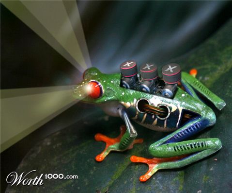 Photoshop Design by wagnerm25