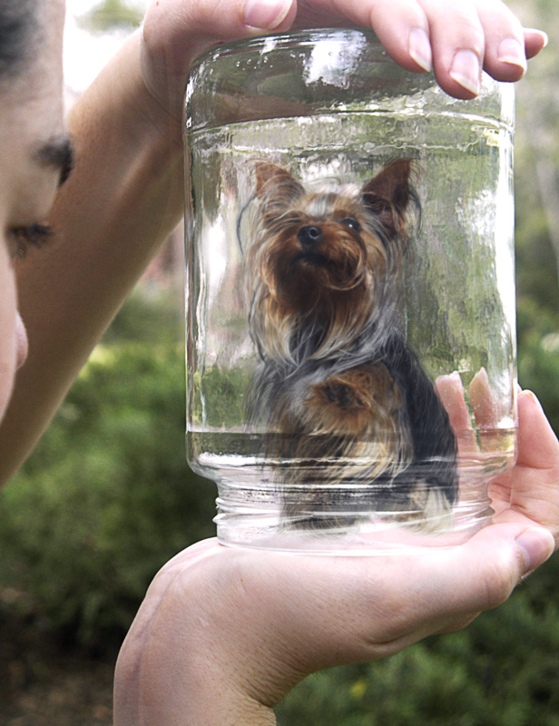 Photography by Fishcat for DesignCrowd (Community Contests) | Design #9055036