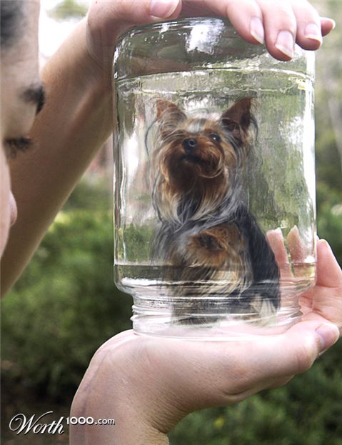 Photography by Fishcat