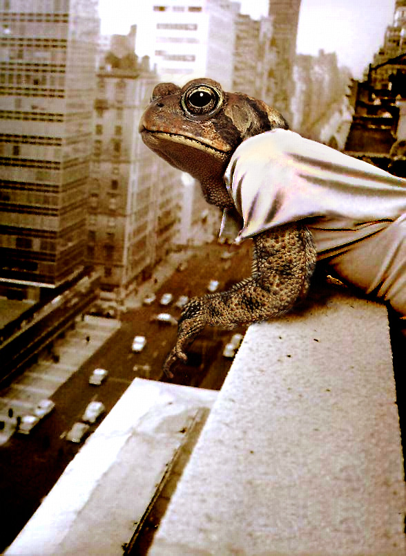 Photoshop Design by Koosricardo for DesignCrowd (Community Contests) | Design #9055715