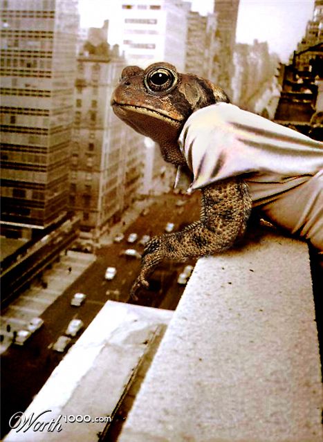 Photoshop Design by Koosricardo