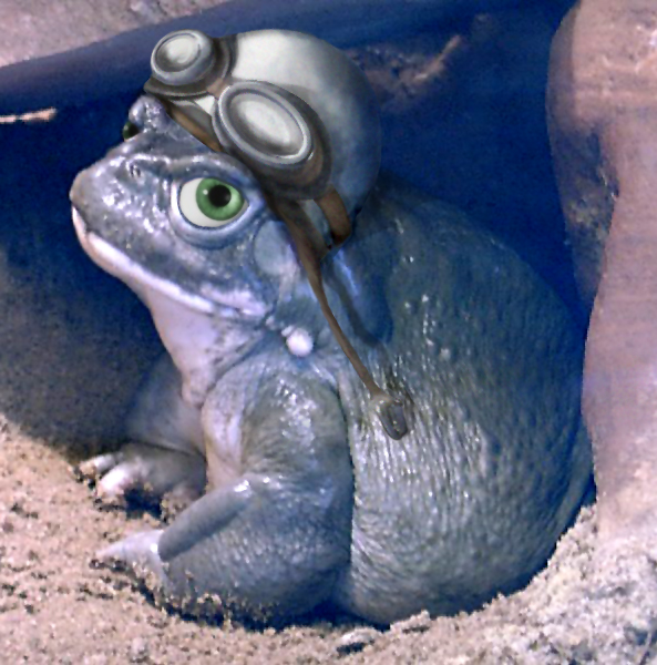 Diseño de Photoshop por paperlily para DesignCrowd (Community Contests) | Diseño #9055749