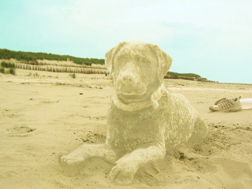 Photoshop Design by RexHunt for DesignCrowd (Community Contests) | Design #9057638