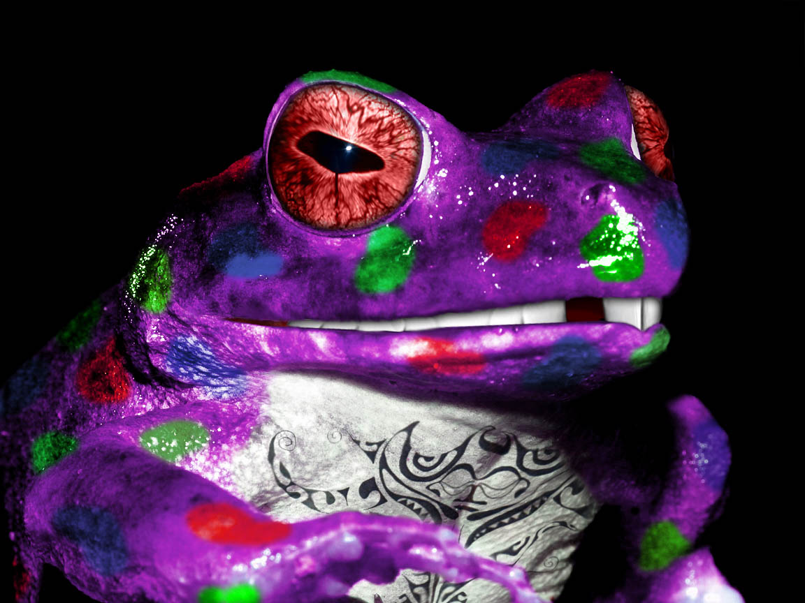 Submission for 'Chop A Frog 2' Contest Design 9055733