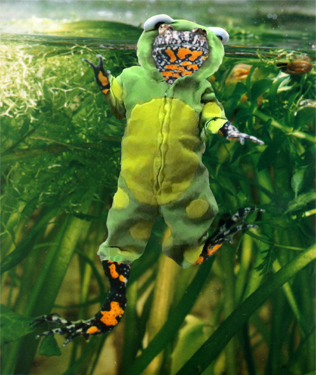 Design Photoshop par Deborahb pour DesignCrowd (Community Contests) | Design #9055816