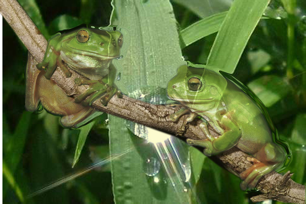 Design Photoshop par EyEars pour DesignCrowd (Community Contests) | Design #9055831