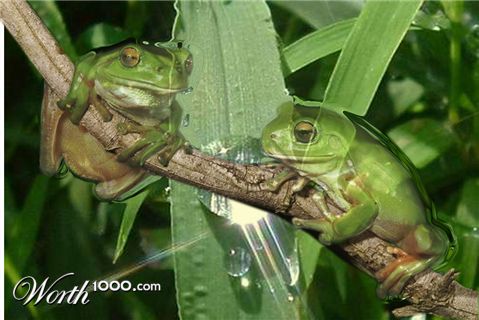 Photoshop Design by EyEars