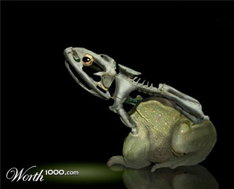 Photoshop Design by Terrence