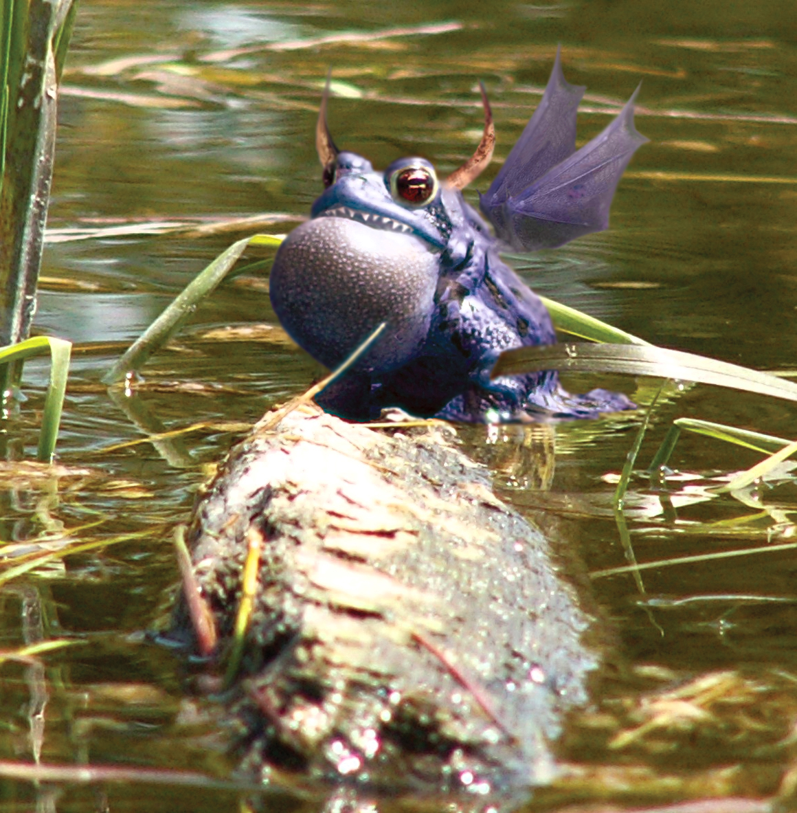 Diseño de Photoshop por Isdelth para DesignCrowd (Community Contests) | Diseño #9055823