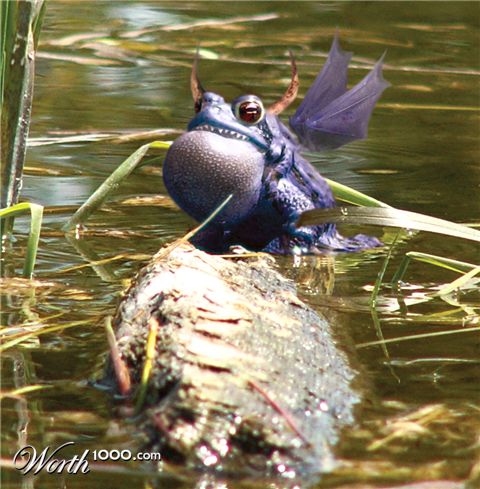 Photoshop Design by Isdelth