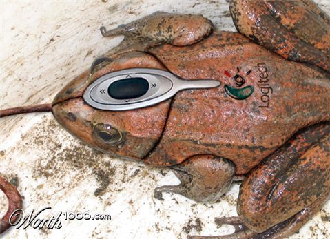 Photoshop Design by Israfelx