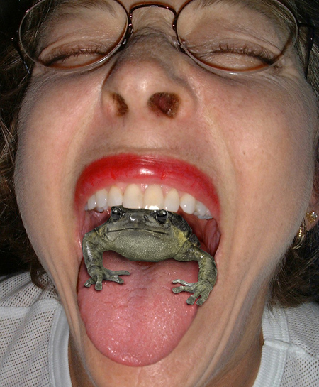 Photoshop Design by kito33 for DesignCrowd (Community Contests) | Design #9055833