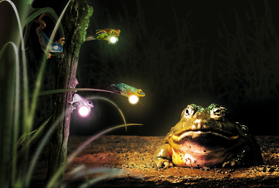 Photoshop Design by Lulusmagicalcactuar for DesignCrowd (Community Contests) | Design #9055818