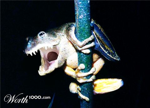 Photoshop Design by thiagofurtado