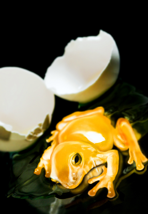 Photoshop Design by chris_ for DesignCrowd (Community Contests) | Design #9055794