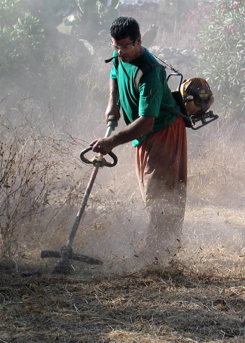 Photographie par Marthese pour DesignCrowd (Community Contests) | Design #9063464