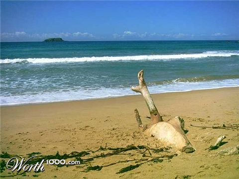 Photography by koala222
