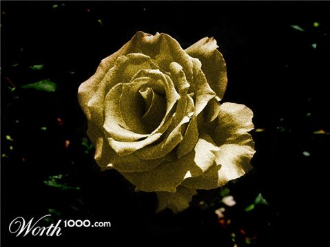 Photoshop Design by Pelican