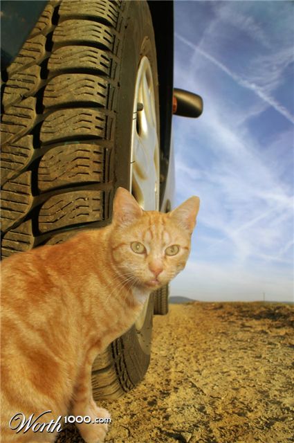 Photography by markusuetz