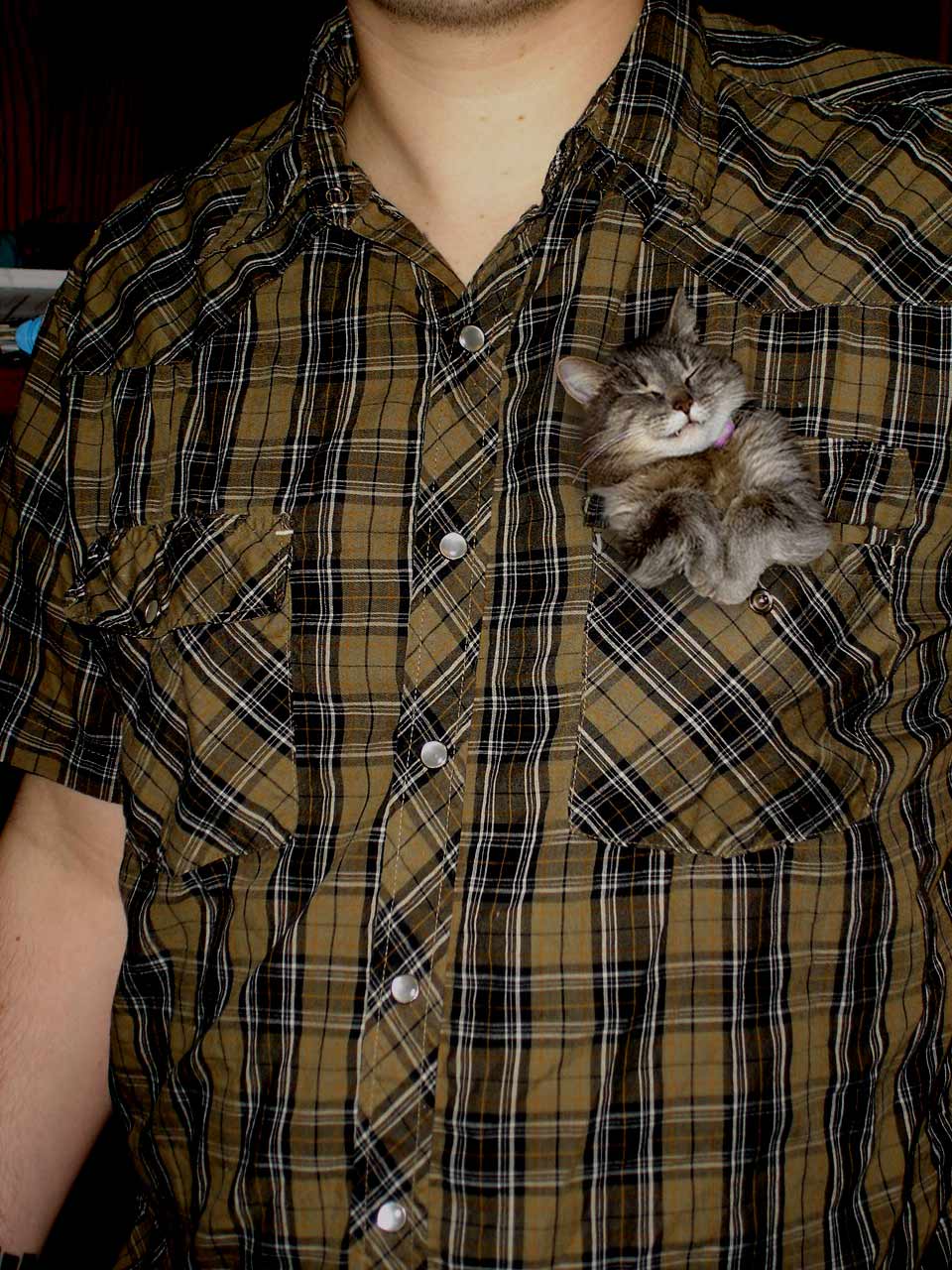 Fotografie von Spacejunk für DesignCrowd (Community Contests) | Design #9055076