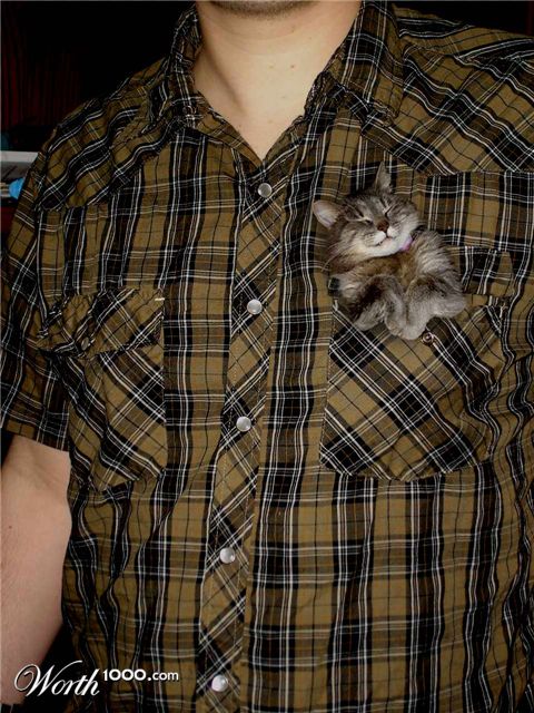 Photography by Spacejunk