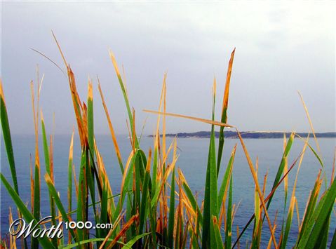 Photography by hotchiproll