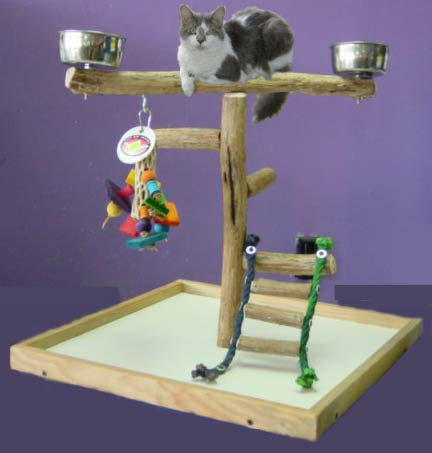 Photographie par Irrwitzer pour DesignCrowd (Community Contests) | Design #9055089