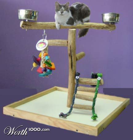 Photography by Irrwitzer