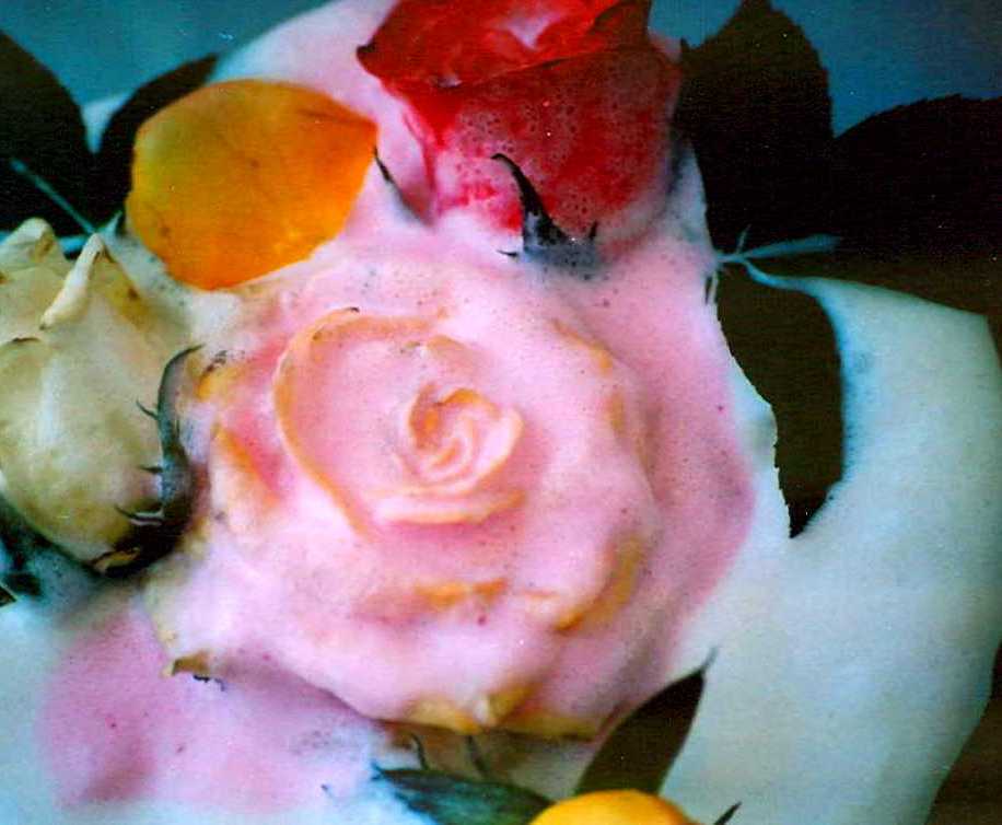 Photography by kalyangantait for DesignCrowd (Community Contests) | Design #9062035