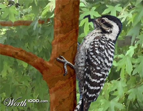 Photoshop Design by JClark8220