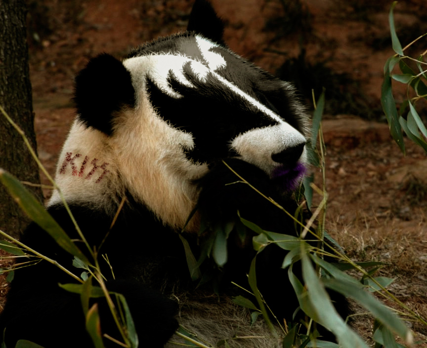 Photoshop-Design von ayoksus für DesignCrowd (Community Contests) | Design #9044029