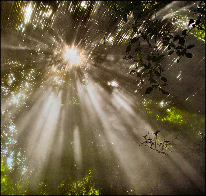 Photography by Juicer for DesignCrowd (Community Contests) | Design #9055232