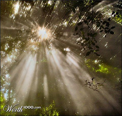 Photography by Juicer