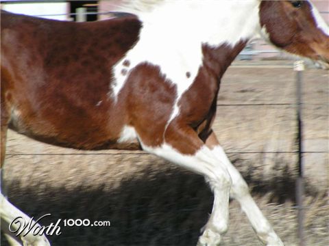 Photography by bc2poo