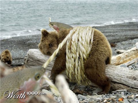 Photoshop Design by jujulemoustik