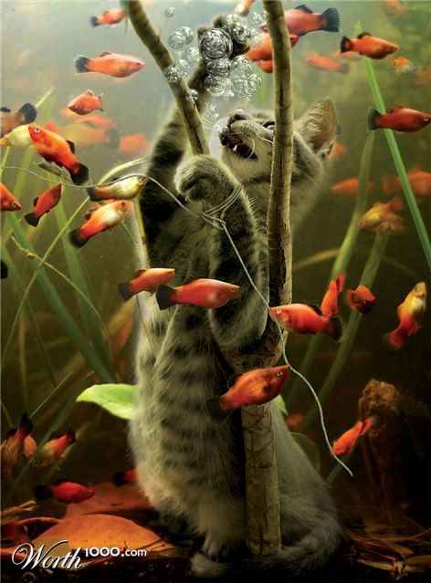 Photoshop Design by nilo111175